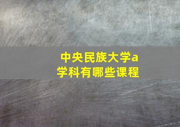 中央民族大学a 学科有哪些课程